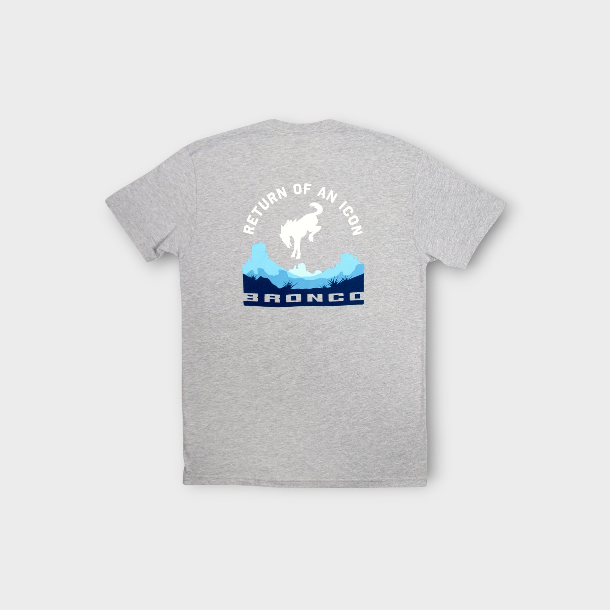 Return of an Icon Tee- Grey back